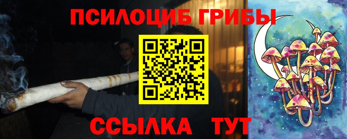 Псилоцибиновые грибы Cubensis  Вход с VPN  хочу   Сосновый Бор 